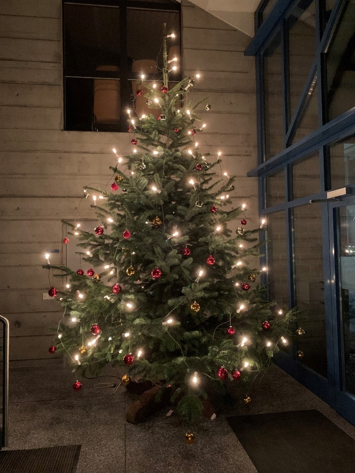 Ein Bild, das Weihnachtsbaum, Weihnachtsdekoration, Baum, Christbaumschmuck enthält.

KI-generierte Inhalte können fehlerhaft sein.