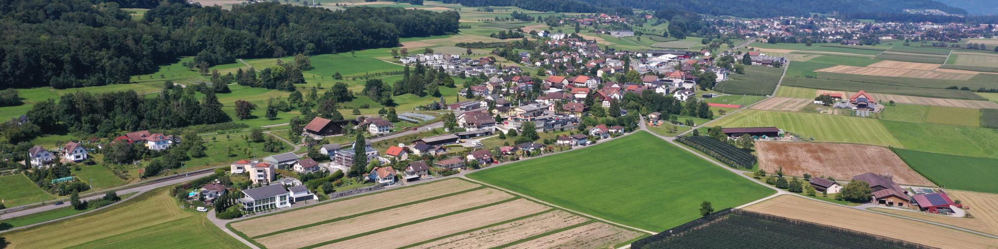 Panorama Hallwil